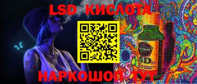 шишки Кингисепп
