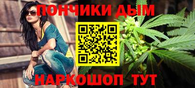 шишки Кингисепп