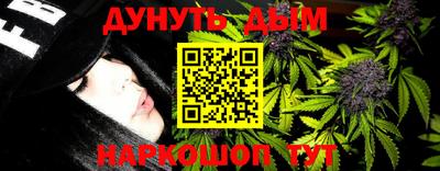 шишки Кингисепп