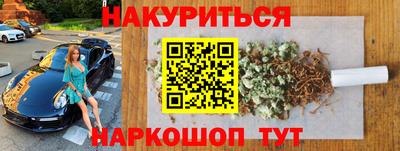 шишки Кингисепп