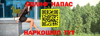 шишки Кингисепп