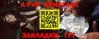 шишки Кингисепп