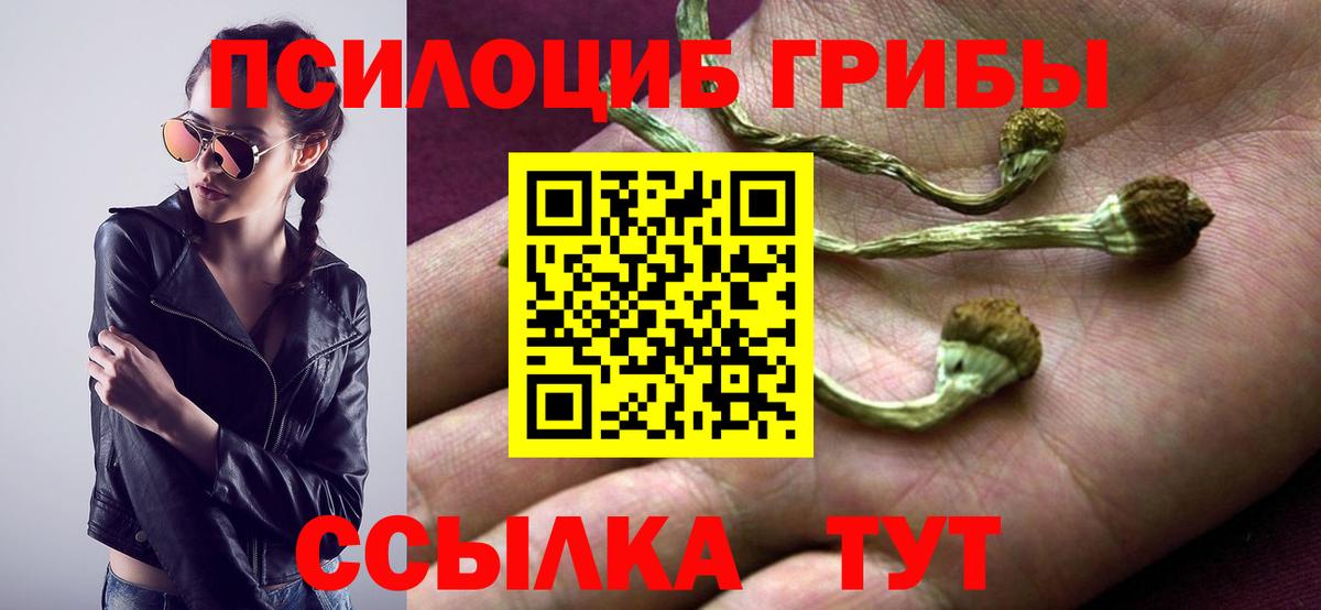 Псилоцибиновые грибы Magic Shrooms Котовск